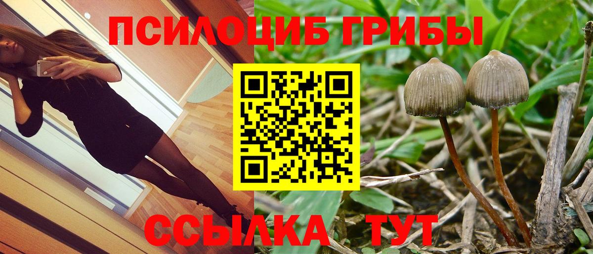 Галлюциногенные грибы Psilocybe  Вход с VPN  Кунгур 